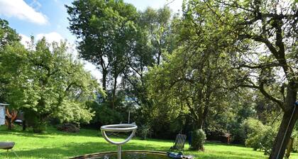 Superb Holiday Home in Weissenburg near Forest