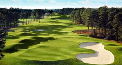 Entire 3 Bedroom Home in The Villages - Sleeps 10