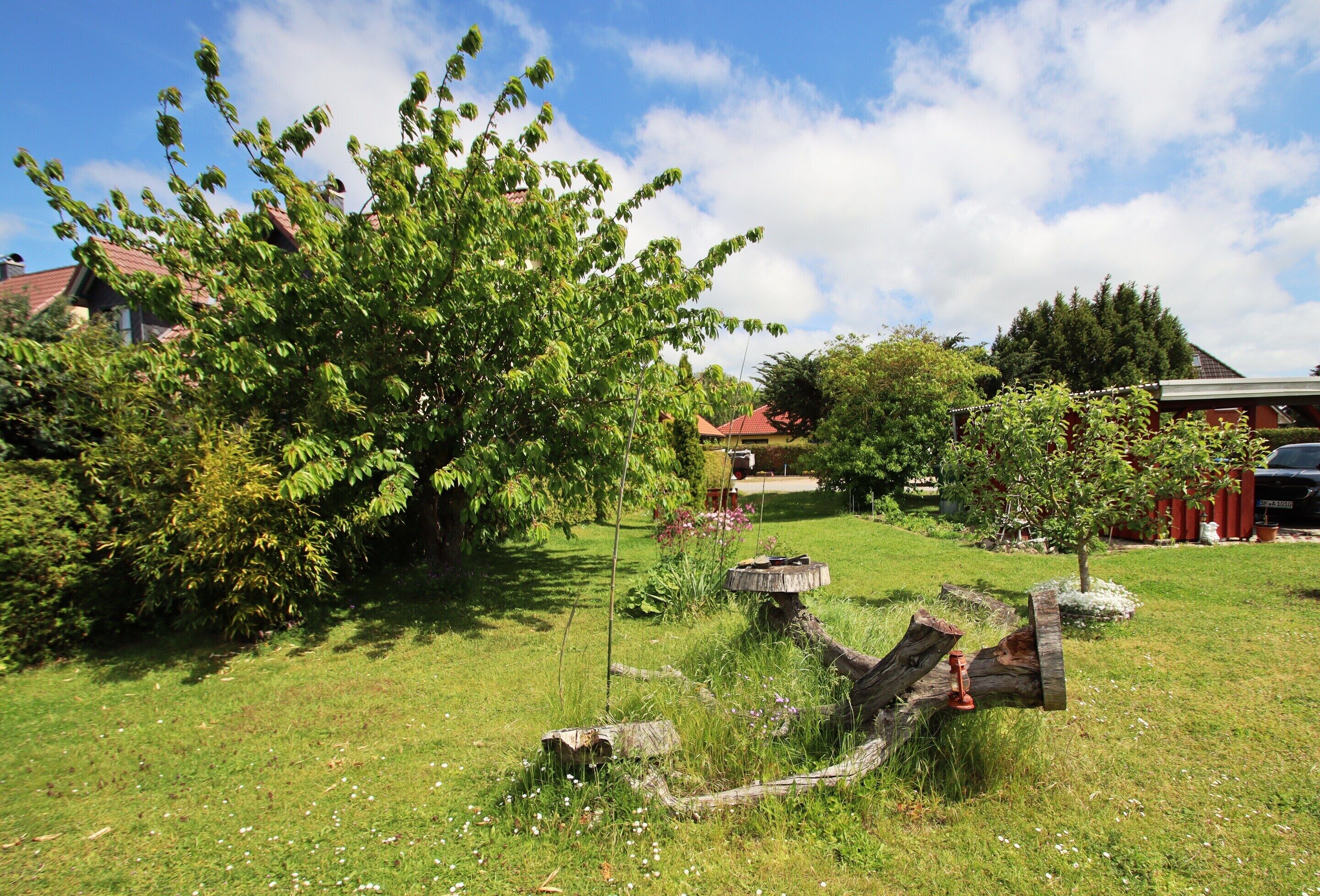 A garden with a large tree, a wooden bench, and a birdbath.