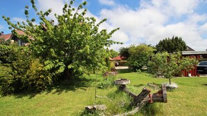 Un jardin avec un grand arbre, un banc en bois et un abreuvoir pour les oiseaux.