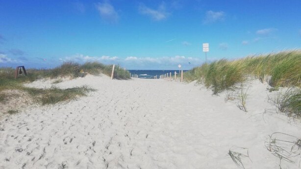 Un sentier de plage sablonneux, bordé de dunes, sous un ciel dégagé.