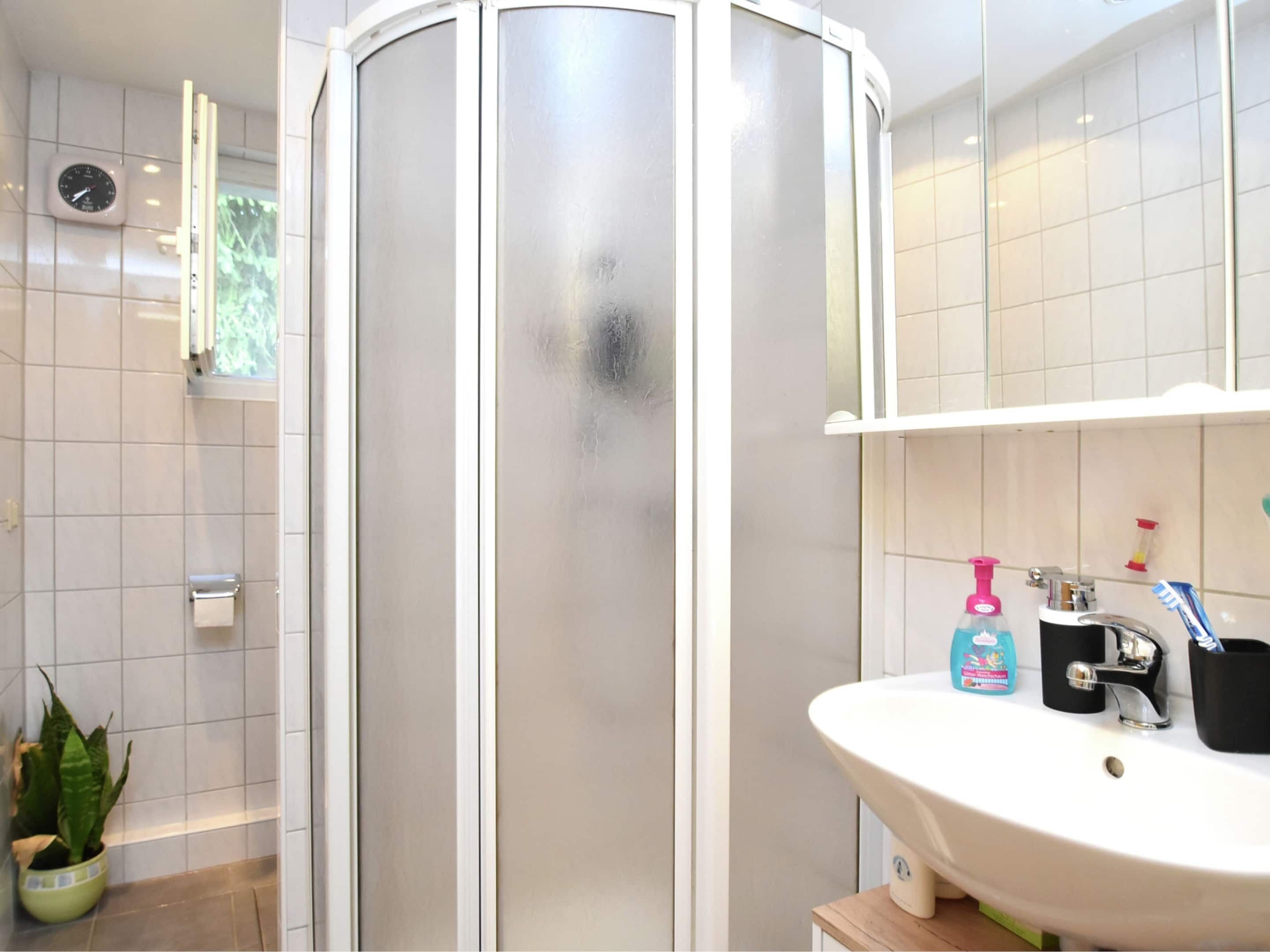 A bathroom with a white sink, a mirror, a shower enclosure, and a potted plant.