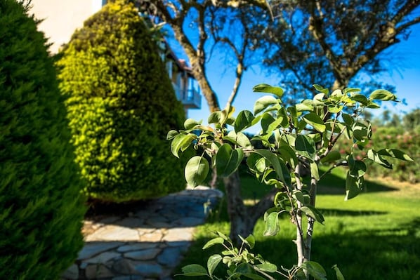A well-maintained garden with a stone pathway leading to a building.