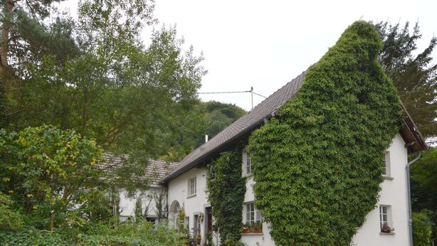 Une maison blanche avec un toit à forte pente, des murs couverts de lierre et un mur de pierre à l’avant.