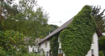 Apartment in Immerath Near Hiking Trails