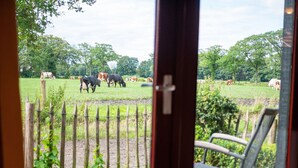 A view from inside a building, looking out at a fenced pasture with cows grazing. - Cozy Apartment in Enschede near Forest (Enschede)