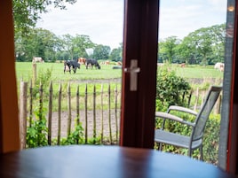 Vista desde la propiedad
