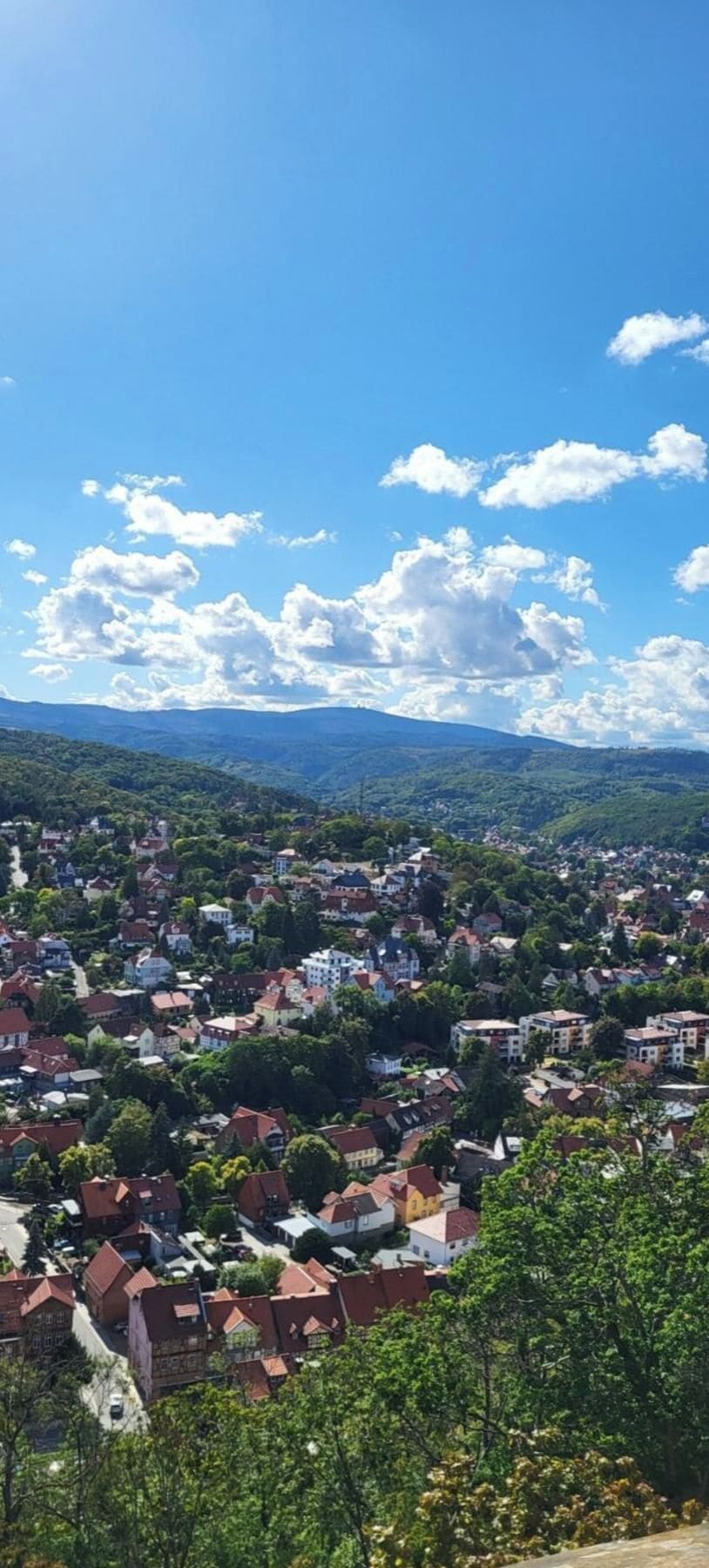 A residential area with houses and greenery, under a clear blue sky.