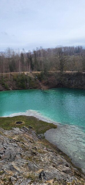 Ferienhaus | Blick von der Unterkunft