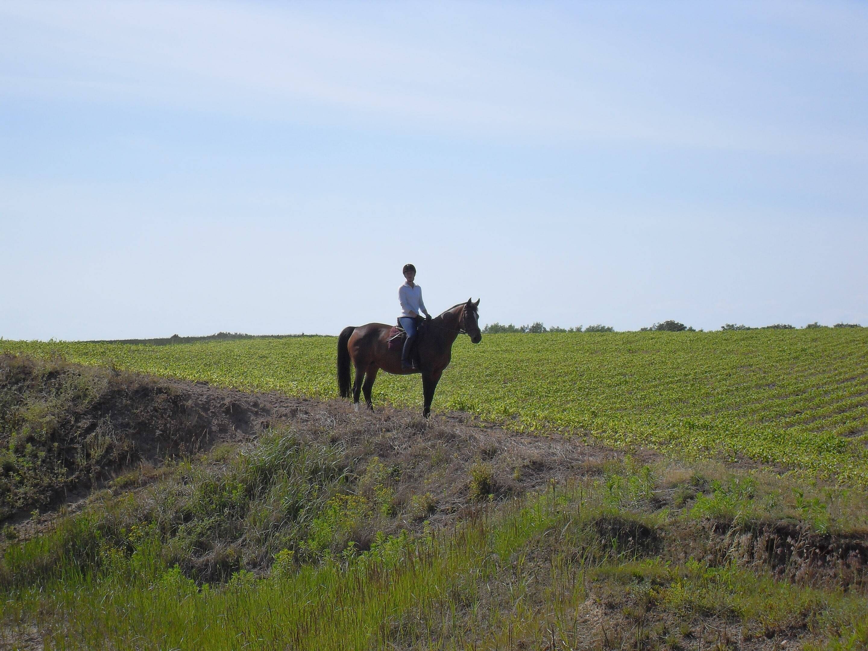 Une personne à cheval sur une colline herbeuse, sous un ciel dégagé.