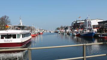 House | View from property