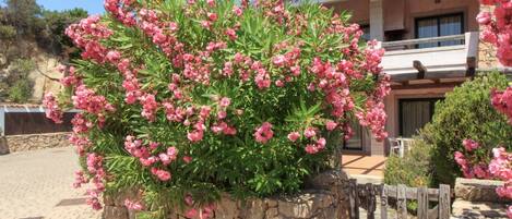 Details aan de buitenkant