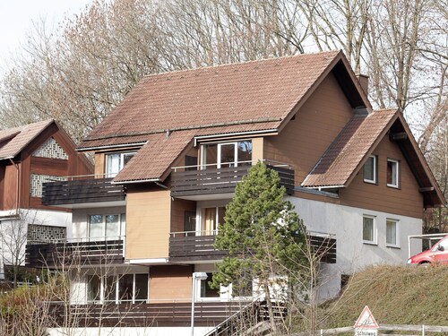 Cozy Apartment in Sankt Andreasberg near Ski Area