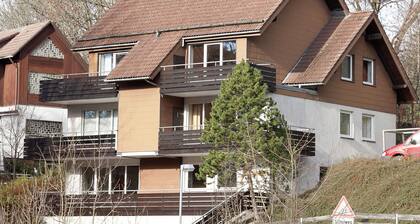 Cozy Apartment in Sankt Andreasberg near Ski Area