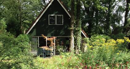 Lovely, Detached Holiday Home in the Heart of the Beautiful Achterhoek Region