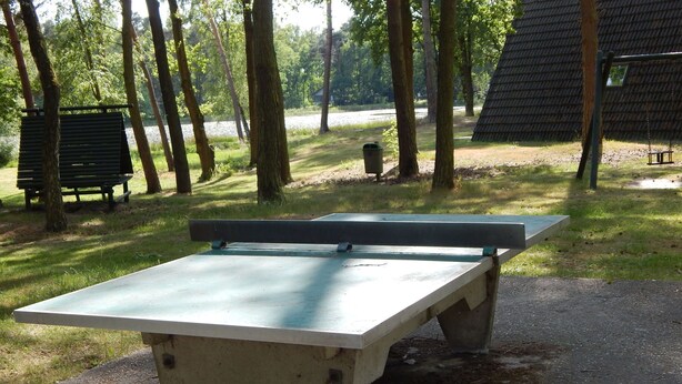 A concrete picnic table with a bench, surrounded by trees and a grassy area.