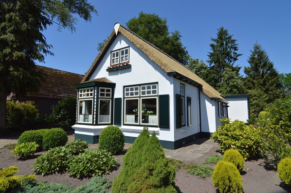 Unclassified image, 1 of 52, button - House in Nijeberkoop near Drents-Friese Wold (Nijeberkoop)