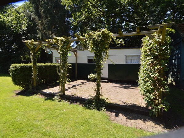 Trädgård