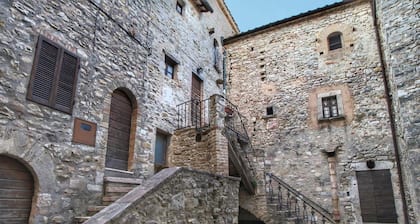 Historic Castle With View
