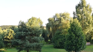 A park with various trees and a grassy area. - Tranquil Garden Apartment (Regen)
