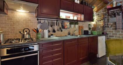 Cottage Near Bourtange With Hot Tub