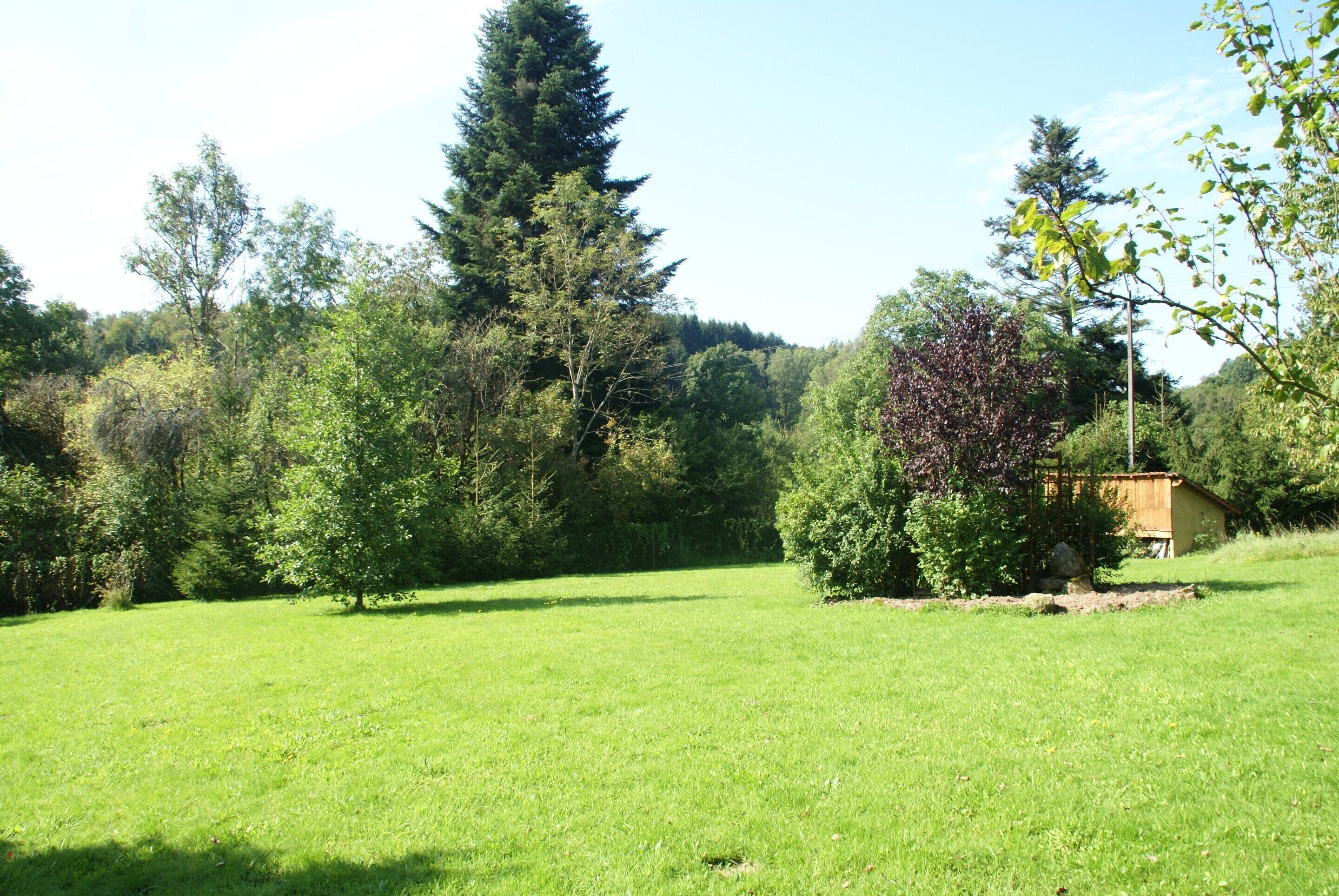 Un champ herbeux avec des arbres et une structure en bois.