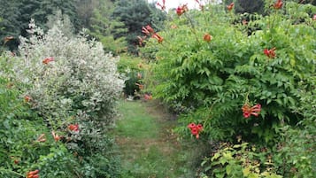 House | View from property