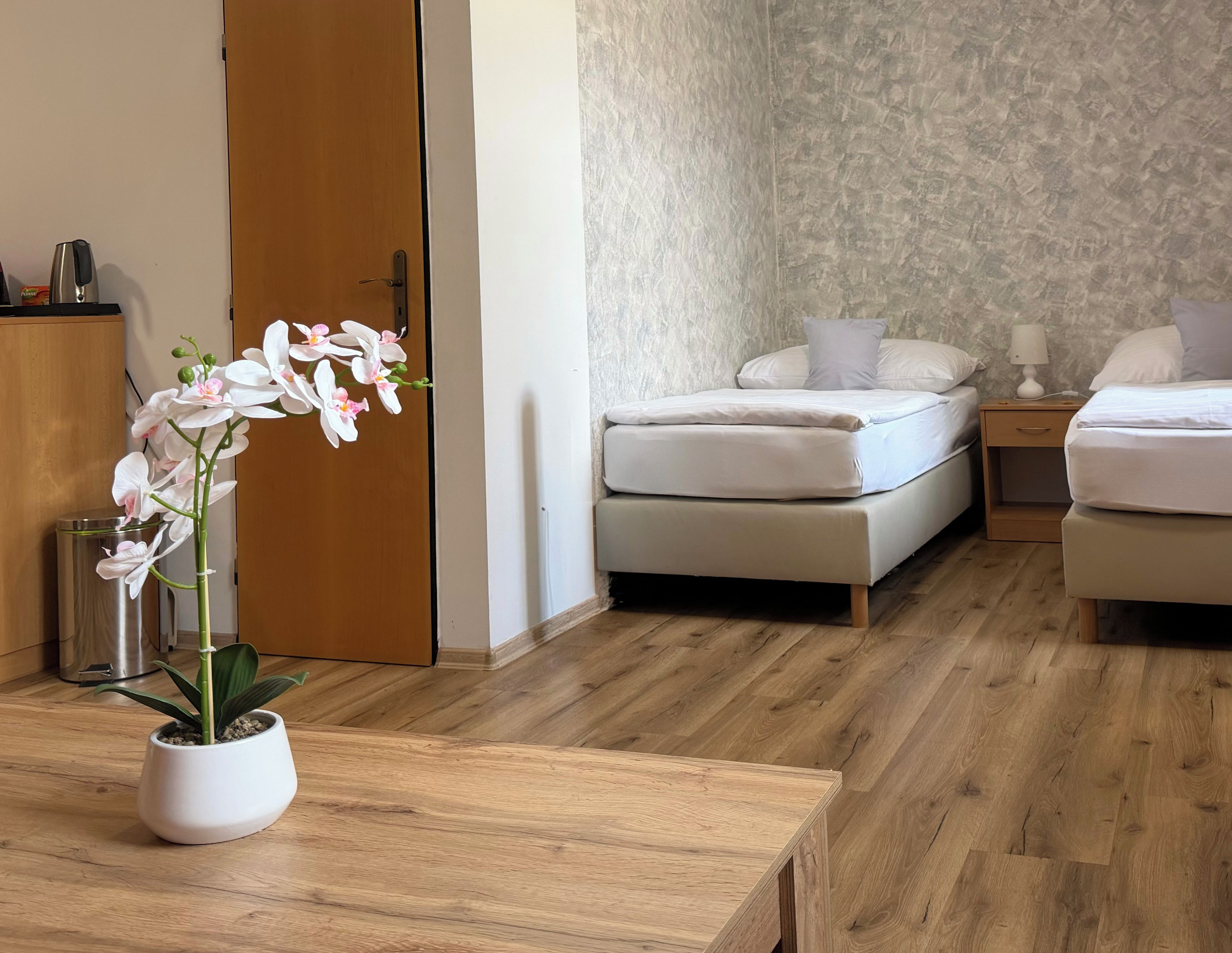 A hotel room with a wooden floor, a bed with white bedding, a bedside table with a lamp, and a potted orchid plant.