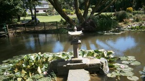 A pond with lily pads, a stone structure, and a tree in the background. - Comfortable Villa, Paliseul (Paliseul)
