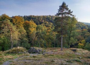 Cottage | View from property