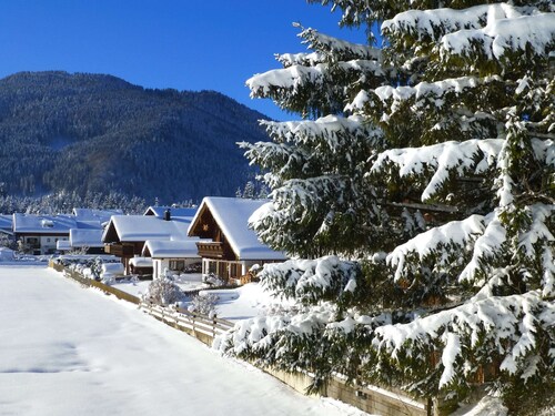 Cozy Alpine Flat in Altenau
