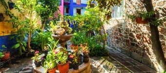 特拉普哈瓦OYO酒店El Mineral