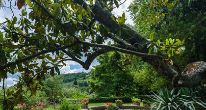 Farmhouse in Tuscany Near Renaissance Villa