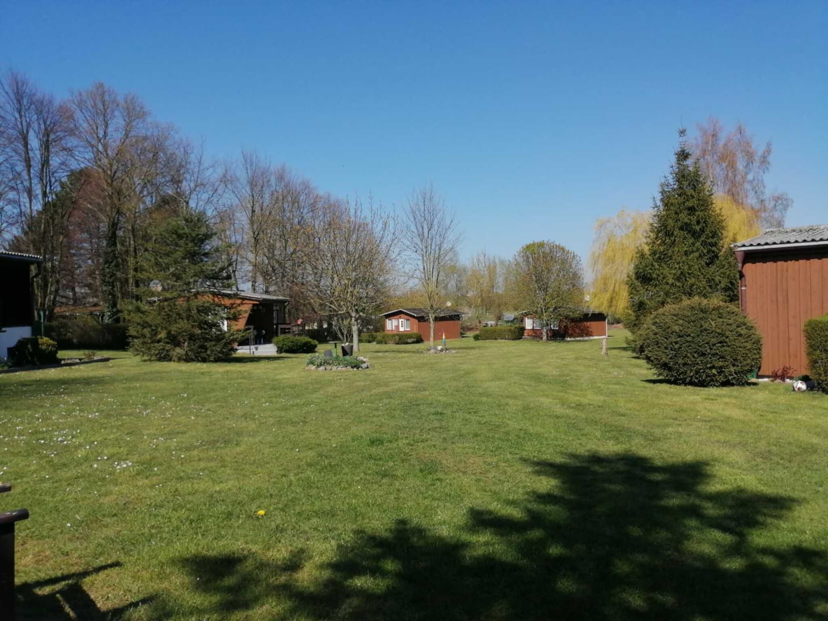 A well-maintained grassy yard with a wooden shed, a small house, and a tall evergreen tree.
