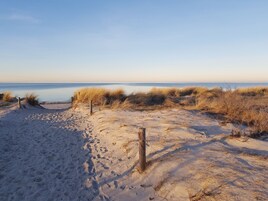 Ein Sandstrand mit Dünen und einem Holzzaun.