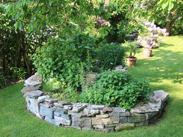 A garden with a stone border, various plants, and a potted plant in the background. - Cosy Apartment in the Harz Mountains (Nordhausen)