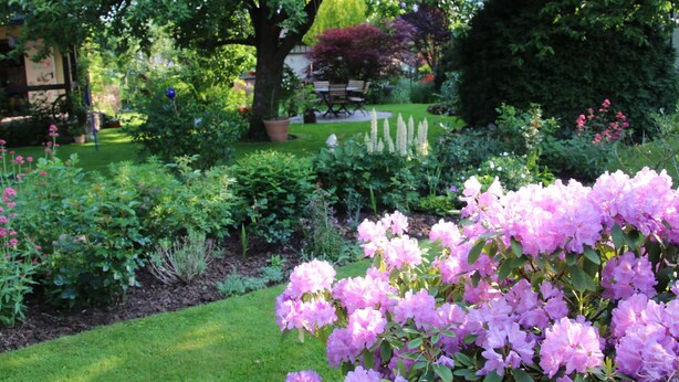 Un jardín con diversas plantas y flores, incluyendo rododendros rosados en primer plano.