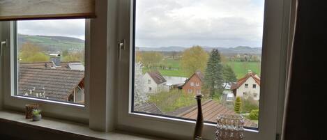 Apartment | View from property