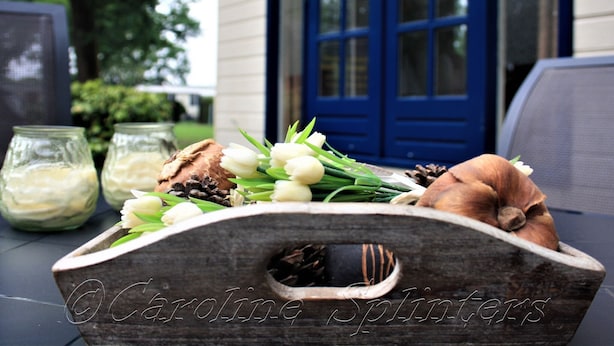 Ảnh chưa phân loại, 1 trong số 39 ảnh, nút