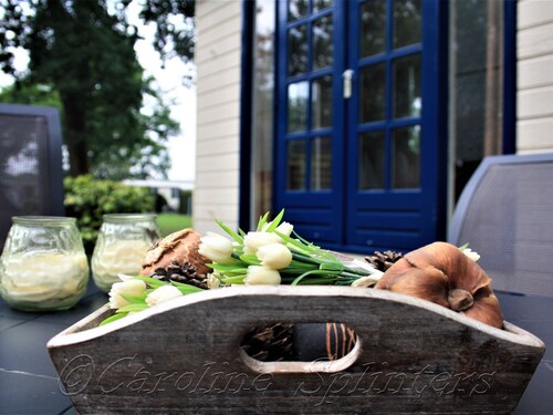 Beautiful Chalet in Gilze en Rijen by the Forest