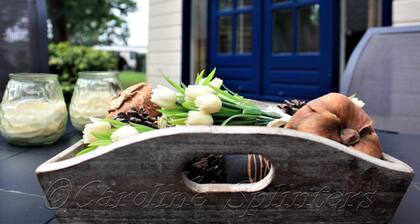 Beautiful Chalet in Gilze en Rijen by the Forest