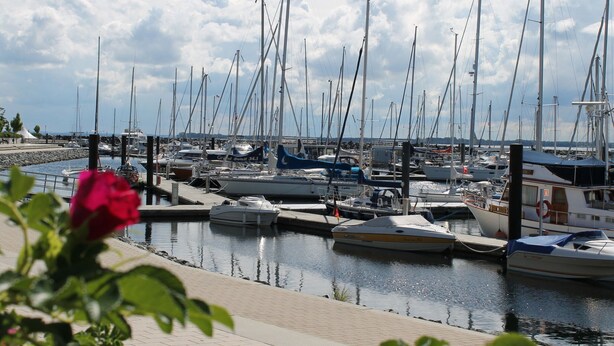 A marina with boats docked at the pier. - Klutz Garden Apartment (Klütz)