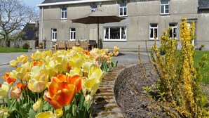 Exterior - Holiday Home in Flemish Ardennes With Large Garden (Zwalm)