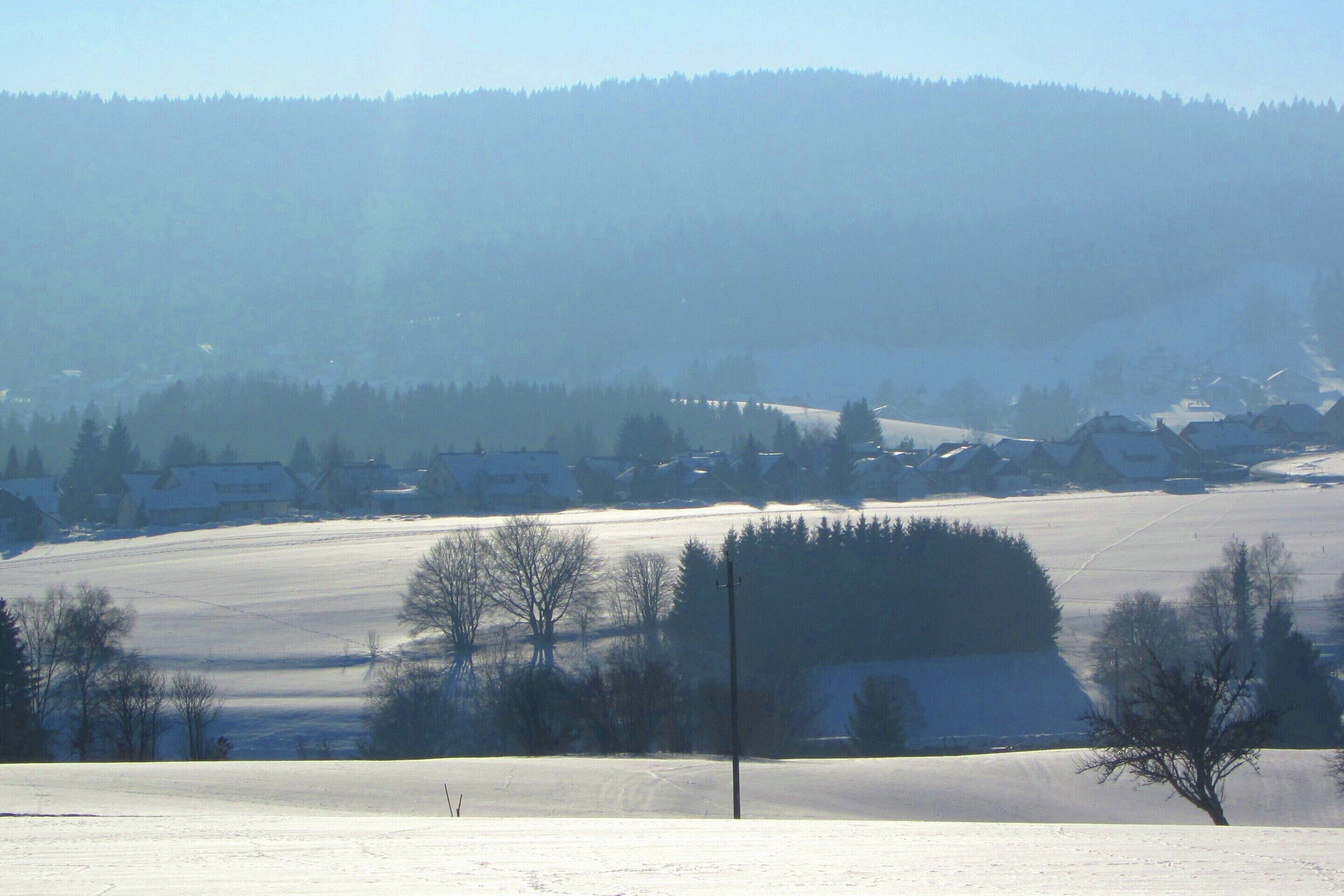 A snow-covered landscape with a few houses and trees.