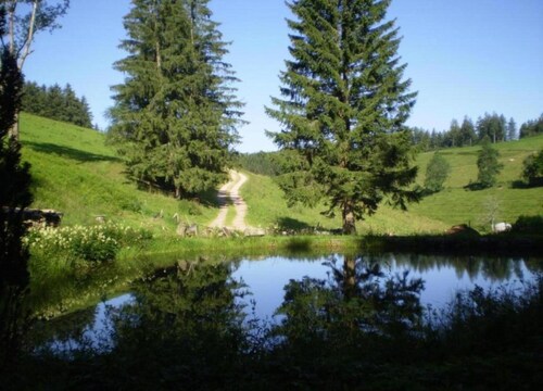 Pleasing Apartment in Herrischried near Forest