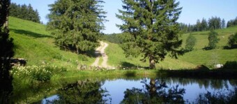 Pleasing Apartment in Herrischried near Forest