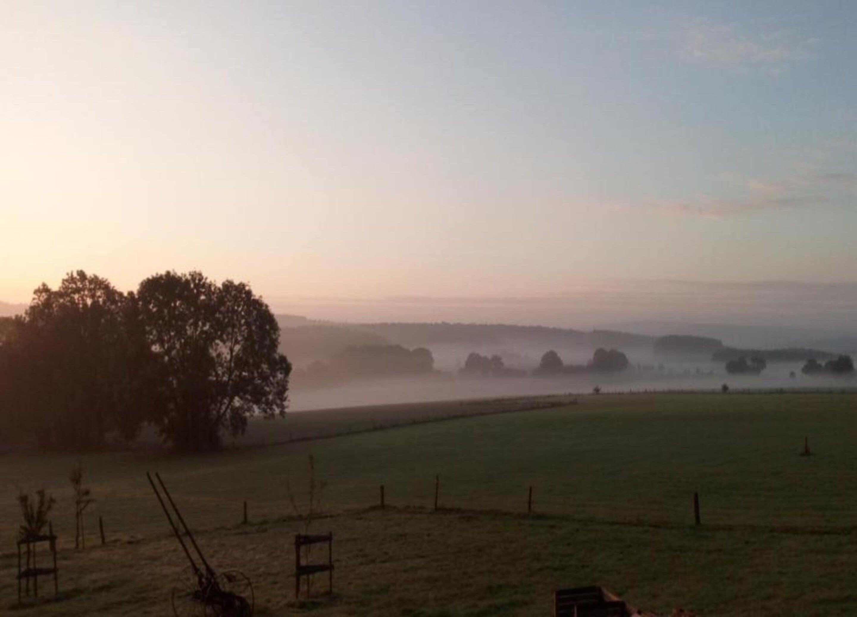 Ländliche Landschaft mit einem großen Baum, offenen Feldern und einem Zaun.
