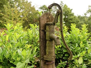 Discover a charming antique water pump amidst lush greenery, a nostalgic touch in a rustic setting.