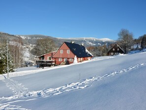 Exterior - Holiday Home in Rokytnice nad Jizerou near River (Rokytnice nad Jizerou)