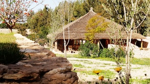 A rustic thatched-roof house with a stone pathway leading to it, surrounded by trees and greenery. -  Mimosa chalet Indonésie. (Essaouira)